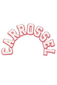 Carrossel (novela)